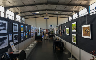 Festival de la photographie de Nature et Animalière en terre boulonnaise 2022 à St Etienne au Mont